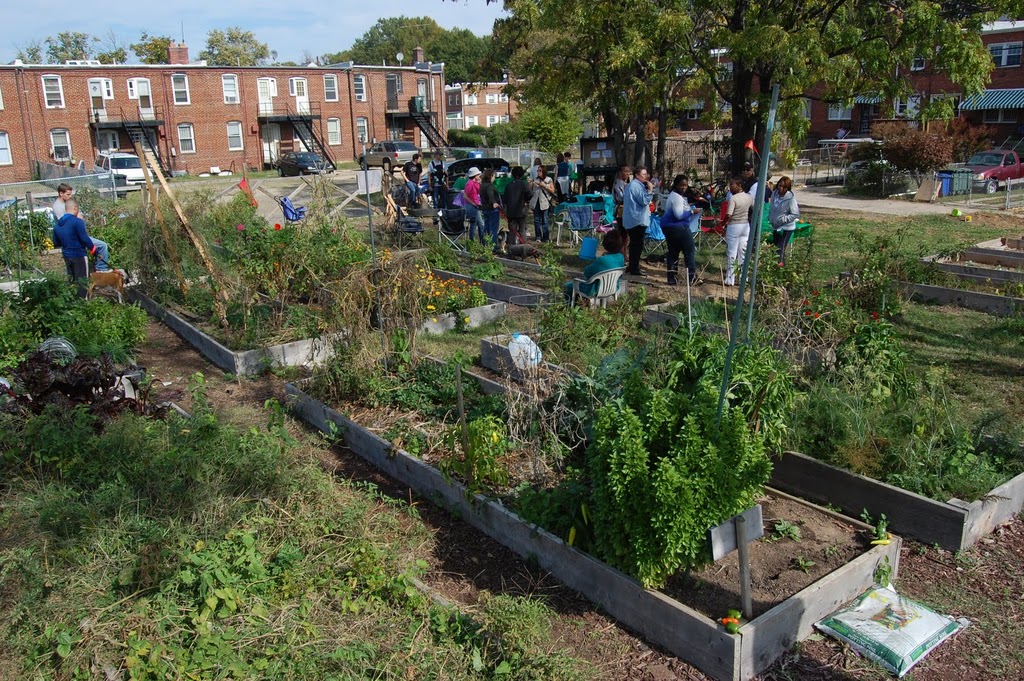 FOKP garden